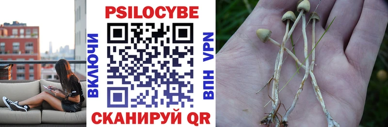 Галлюциногенные грибы Cubensis  Нерехта 